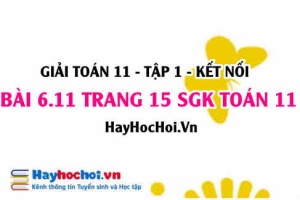 Bài 6.11 trang 15 Toán 11 tập 2 Kết nối tri thức